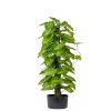 Hosta sur pied, plante verte synthétique en pot H 90 cm, D 26 cm