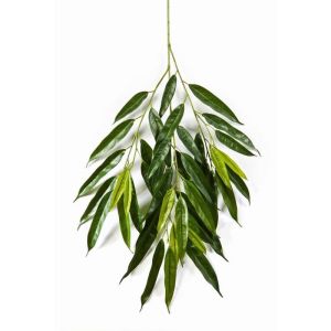 Jolie fausse  branche de longifolia royal L 83 cm Vert
