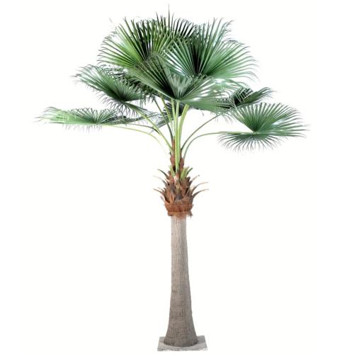 Chamaerops Washingtonia Artificiel Palmier H 690 cm