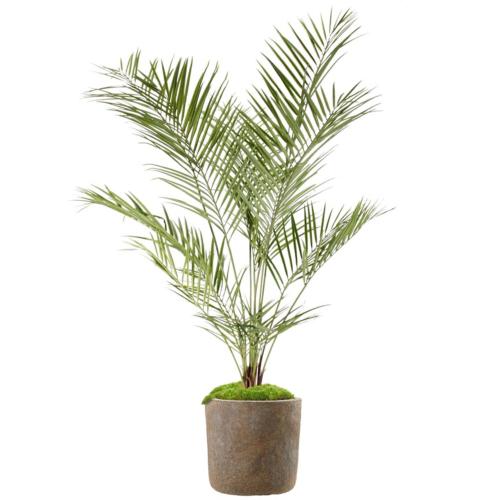 Areca Artificiel Palmier en pot H 180 cm  Anti-UV