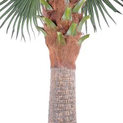 Chamaerops Washingtonia Artificiel Palmier H 380 cm