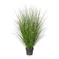 Faux Miscanthus Zebrinus factice Graminée H 120 cm D 80 cm en pot