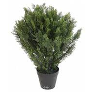 Faux Cyprès buisson en pot anti-UV pour extr H 75 cm Vert