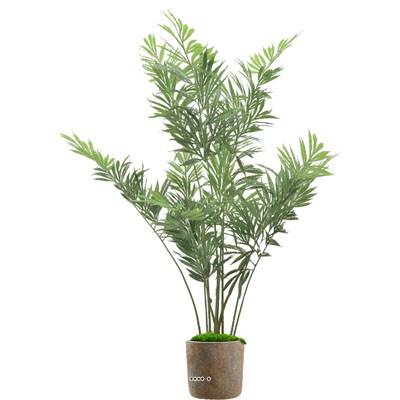 Faux arcea "Caryota" H140 en pot