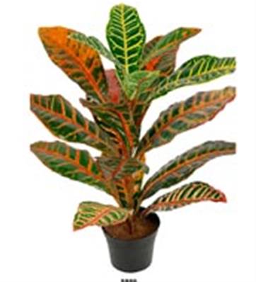 Plante verte, Croton artificiel en pot H 40 cm