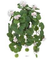 Faux geranium fleuri retombant en pot, L 50 cm,  Rose-crème