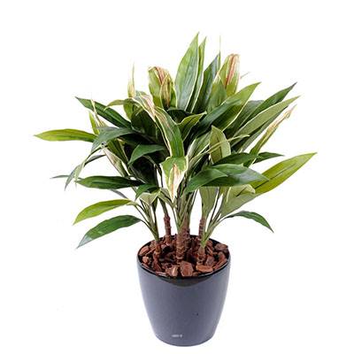 Faux dracaena ou cordyline H 85 cm en pot