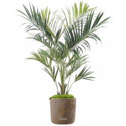 Palmier Kentia Artificiel Royal  en pot H 180 cm Vert