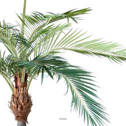 Phoenix Artificiel Palmier sur platine H 400 cm