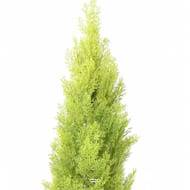 Faux Cyprès anti-UV pour extérieur H 60 cm Vert-jaune