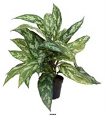 Plante Aglaonema Artificielle en pot H 37 cm