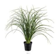 Herbe Verte en pot factice plante verte artificielle large H 55 cm D 65 cm Vert