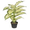 Plante verte, Dienffenbachia artificiel en pot H 40 cm, D 35 cm