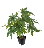 Aralia en pot artificiel, feuillage dense H 30 cm, D 28 cm