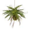 Fougère de Boston sur boule de mousse, plante verte synthétique à suspendre L 35 cm, D 64 cm