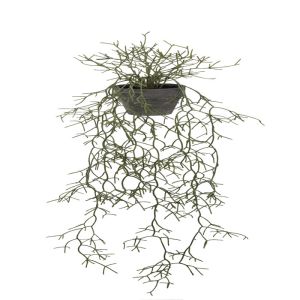 Rhipsalis cereuscula, plante verte synthétique retombante en pot L 100 cm, D 28 cm