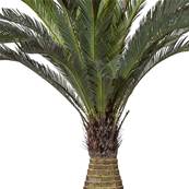 Cycas Artificiel Palmier en pot H 130 cm