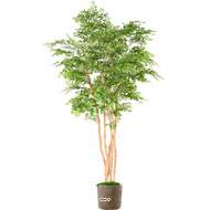 Acacia factice en pot  5 Troncs Naturels feuillage tergal