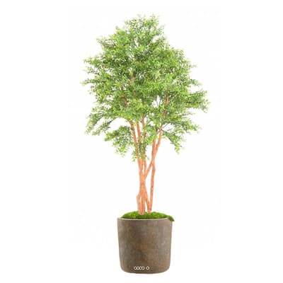 Faux Eucalyptus en pot ext  multri-troncs H 150 cm Vert