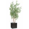 Eucalyptus faux arbre en pot H 160 cm