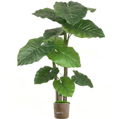 Faux Colocasia en pot H 150 cm 3 troncs