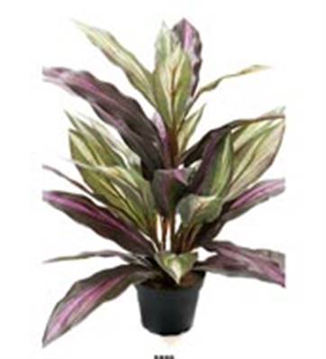 Plante Dracaena Artificiel en pot H 40 cm