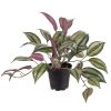 Tradescantia Feuillage artificiel Panache en pot H 25 cm D 35 cm superbe