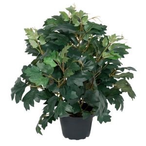 Cissus rhombifolia artificiel en pot, D 23 cm, H 35 cm