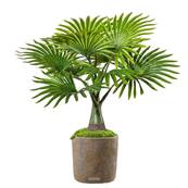 Palmier Artificiel Bouteille en pot H 45 cm