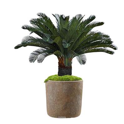 Palmier Cycas artificiel sur pied H 130 cm