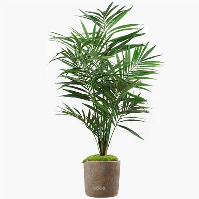 Kentia artificiel Palmier en pot H 120 cm