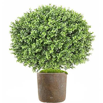 Faux Buis tronc en pot extérieur anti-UV H 65 cm Vert