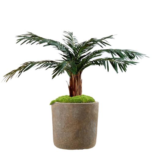 Palmier Artificiel Cycas en pot tronc Haut H 80 cm Vert