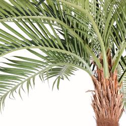 Coconut Artificiel Palmier sur platine H 270 cm