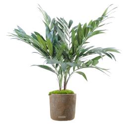 Parlour Artificiel Palmier en pot H 65 cm 2 troncs