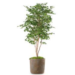 Gingko Artificiel Arbre en pot Troncs bois naturels H 180 cm