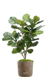 Ficus Lyrata Artificiel tronc PE en pot Figuier factice H 90 cm D 65 cm Vert